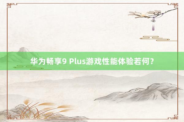 华为畅享9 Plus游戏性能体验若何？